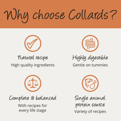 Collards Turkey Wet Puppy Food - 7 x 395g Trays