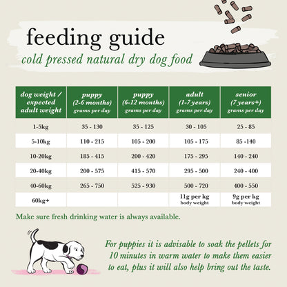 Salmon Grain Free Cold Pressed Natural Dry Dog Food