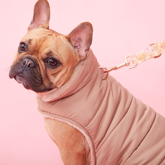 PUFFER JACKET - CAMEL