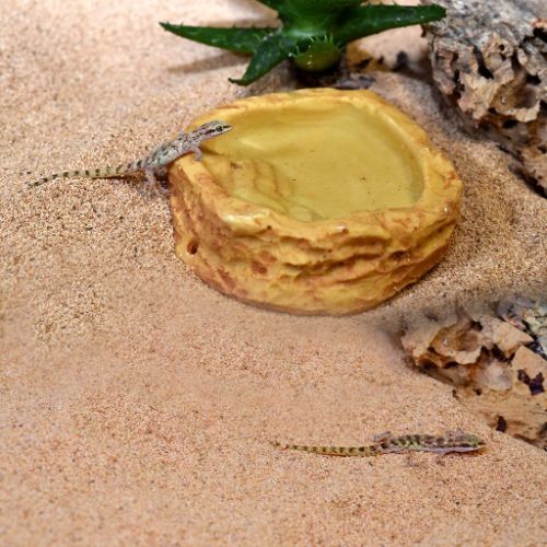 HabiStat Sandstone Water Dish, Small