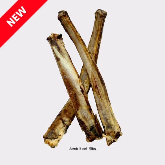 Beef Ribs (Jumbo & Medium - 1pc & 5pcs)