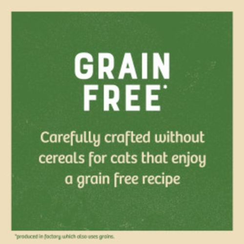 James Wellbeloved Grain Free Kitten Food Pouches with Turkey 12 x 85g