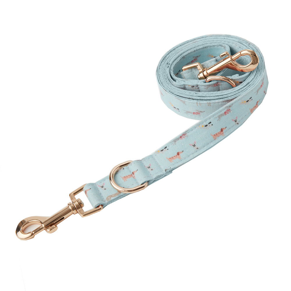 DOG LEAD - BLUE DOG
