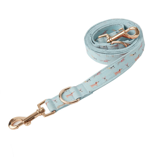 DOG LEAD - BLUE DOG