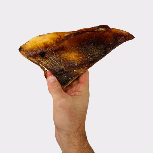Beef Moon Bones (5pcs & 1kg)