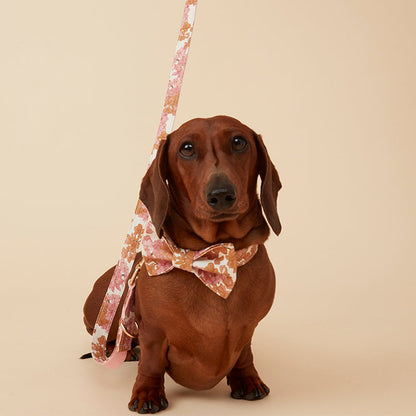 DOG BOW TIE - PINK FLORAL