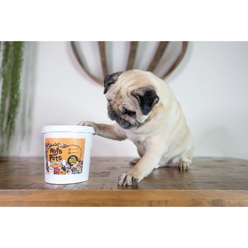Nuts for Pets The Big One Peanut Butter for Dogs - 1kg
