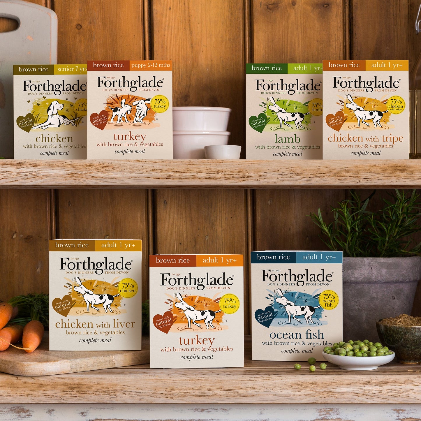 Adult Turkey with Brown Rice & Vegetables Natural Wet Dog Food