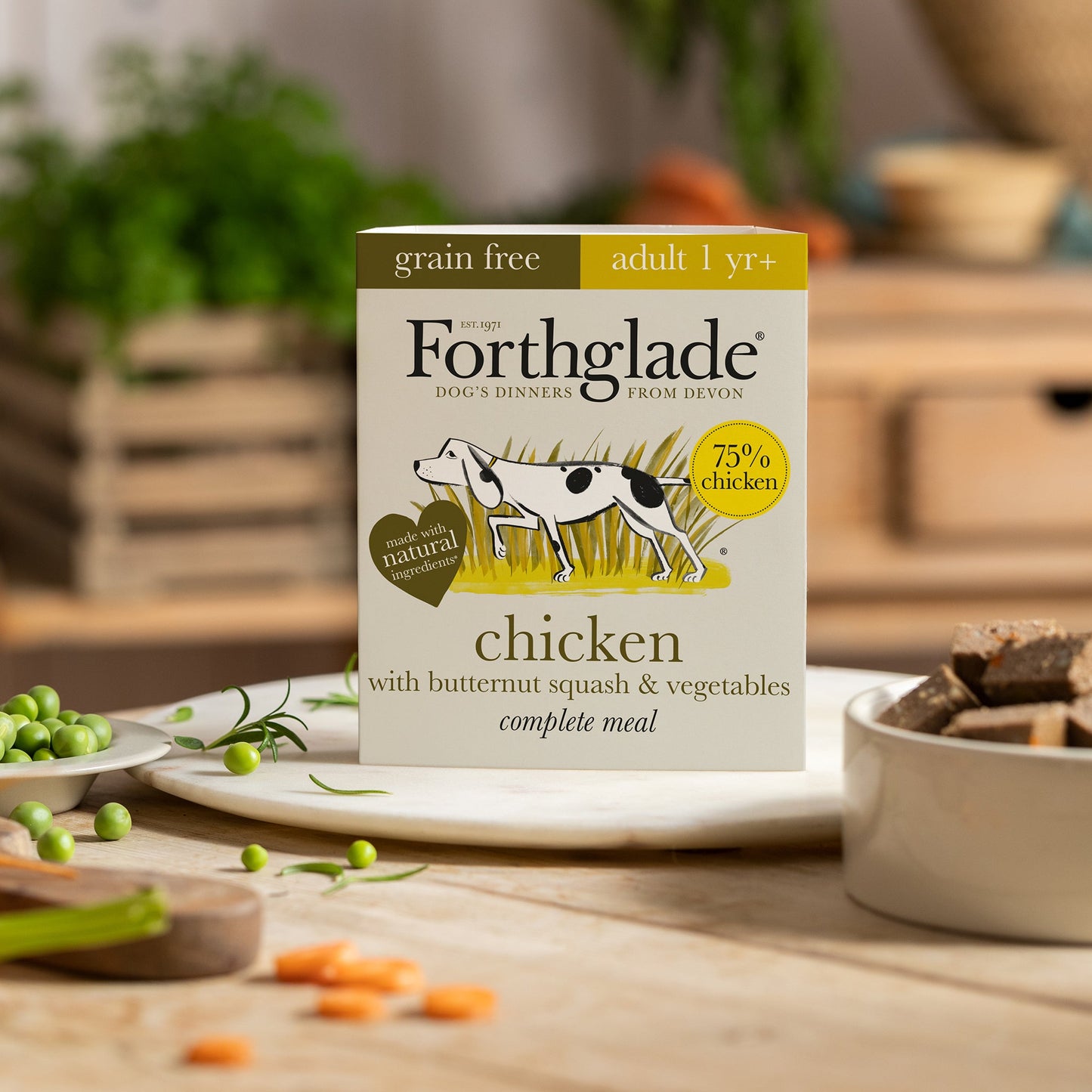 Chicken with Butternut Squash & Vegetables Natural Wet Dog Food