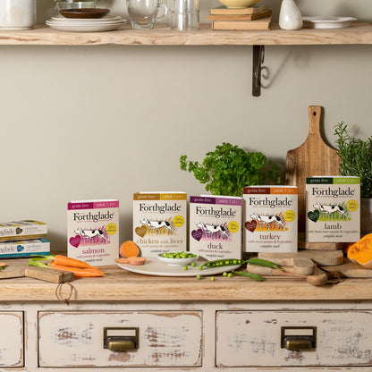 Chicken with Butternut Squash & Vegetables Natural Wet Dog Food