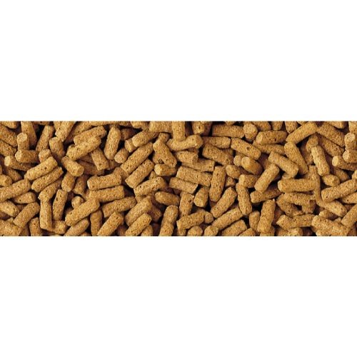 Tetra Koi and Goldfish Fish Food Pond Wheatgerm Sticks 1400g