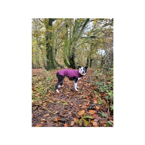 Doodlebone Puffer Jacket Punch & Burgundy Size 5-7 Small