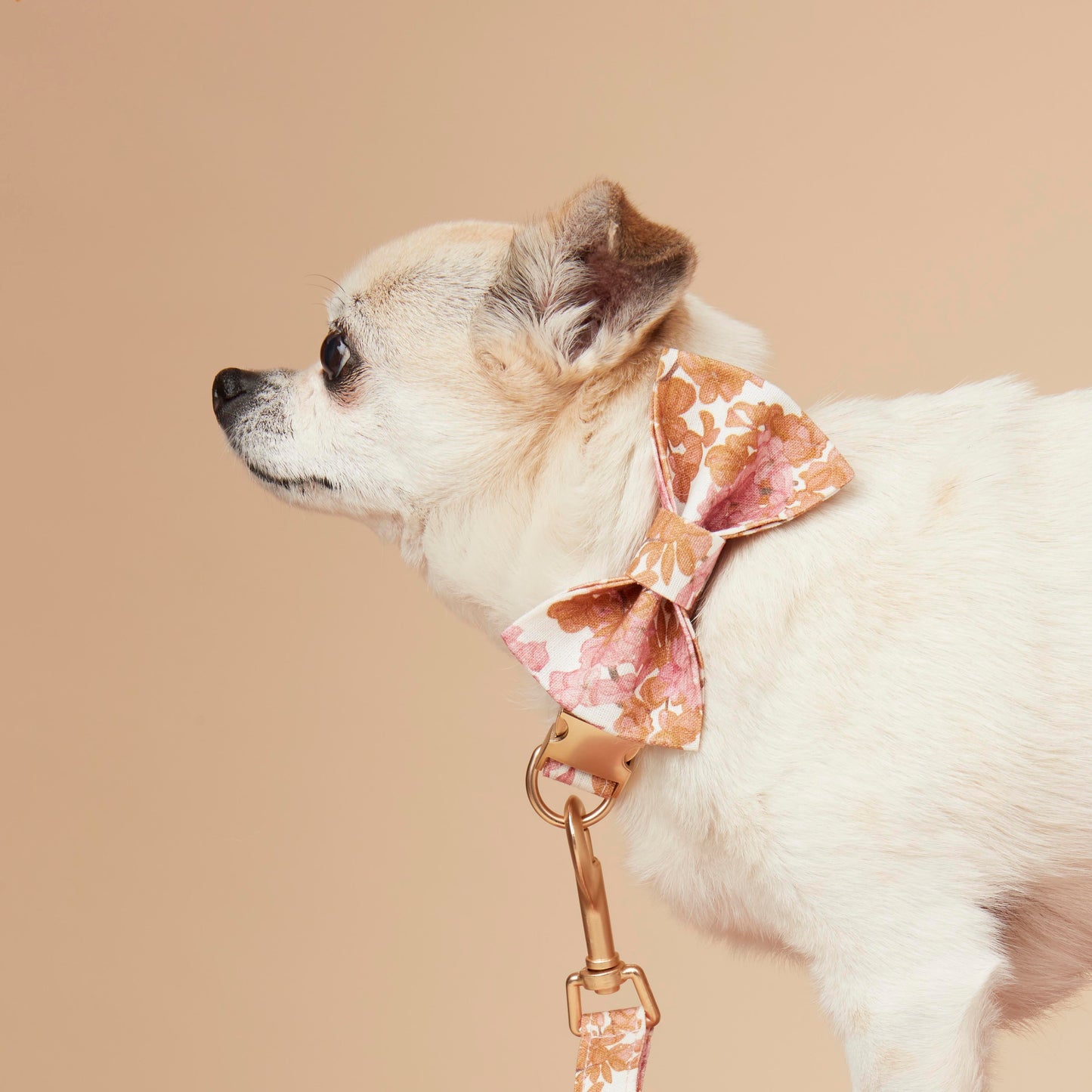 DOG LEAD - PINK FLORAL
