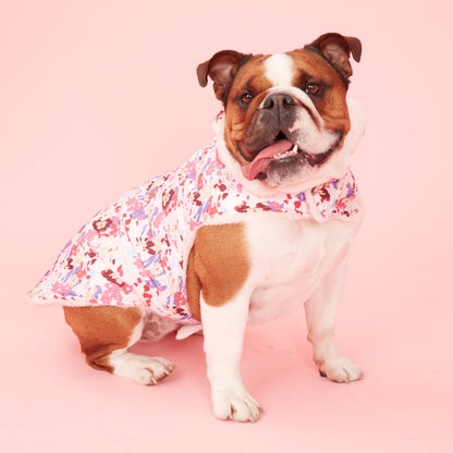 PUFFER JACKET - BOLD FLORAL