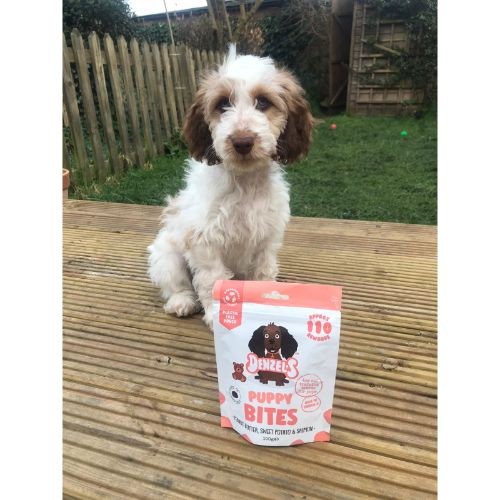 Denzel's Soft 'n' Squishy Puppy Treats For Dogs 100g