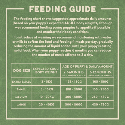 Grain-Free Dry Puppy Food Rich in Salmon & Sweet Potato 10kg