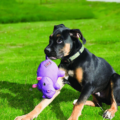 KONG Phatz Hippo Medium