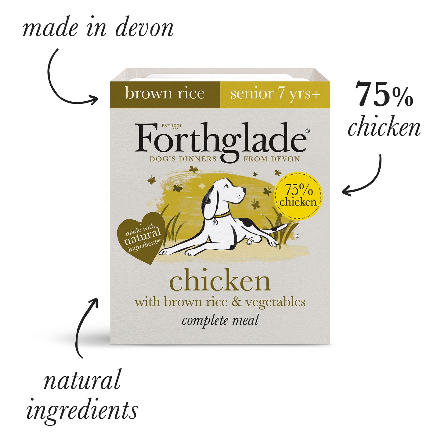 Adult Chicken with Brown Rice & Vegetables Natural Wet Dog Food