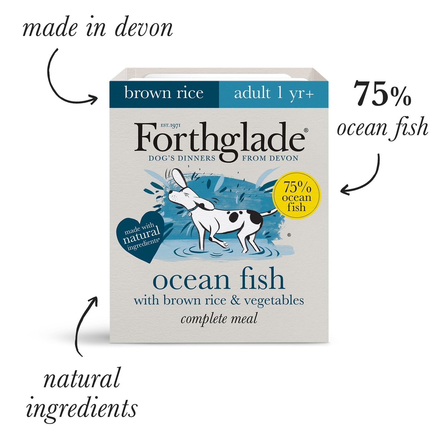 Adult Ocean Fish with Brown Rice & Vegetables Natural Wet Dog Food