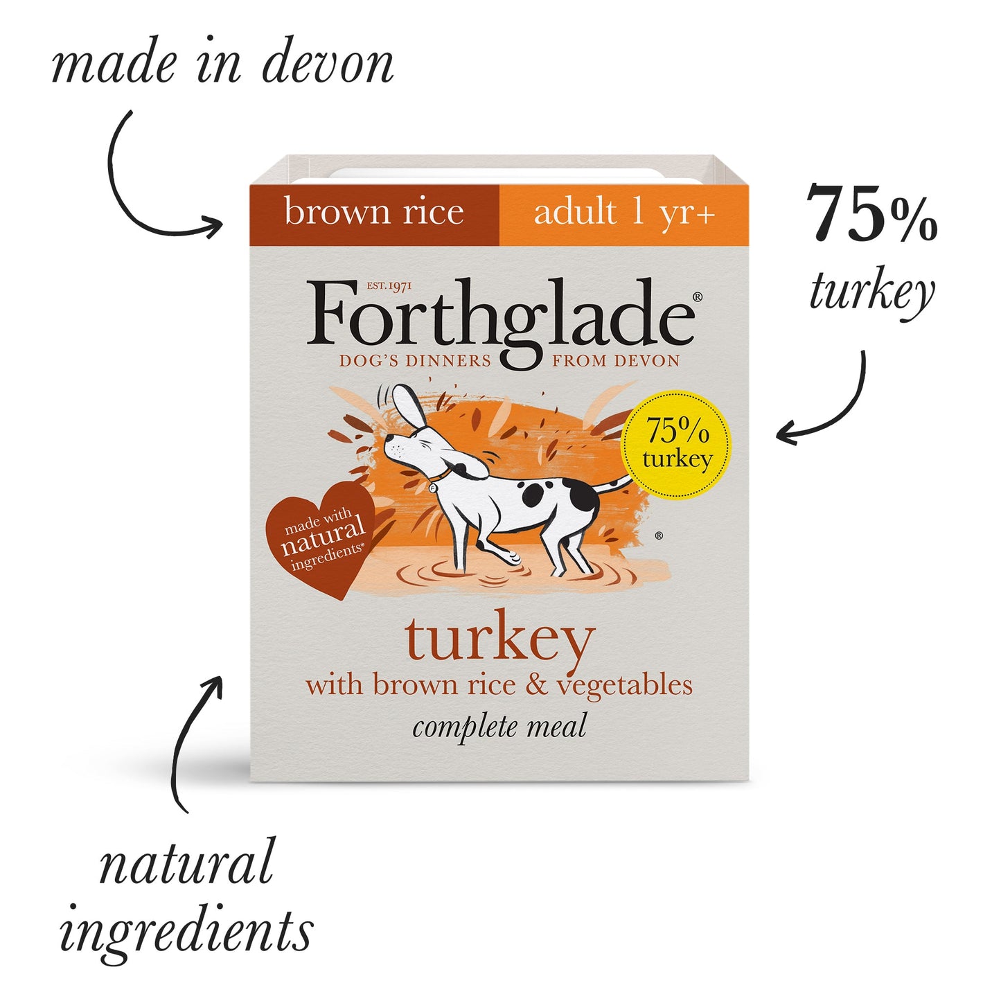Adult Turkey with Brown Rice & Vegetables Natural Wet Dog Food