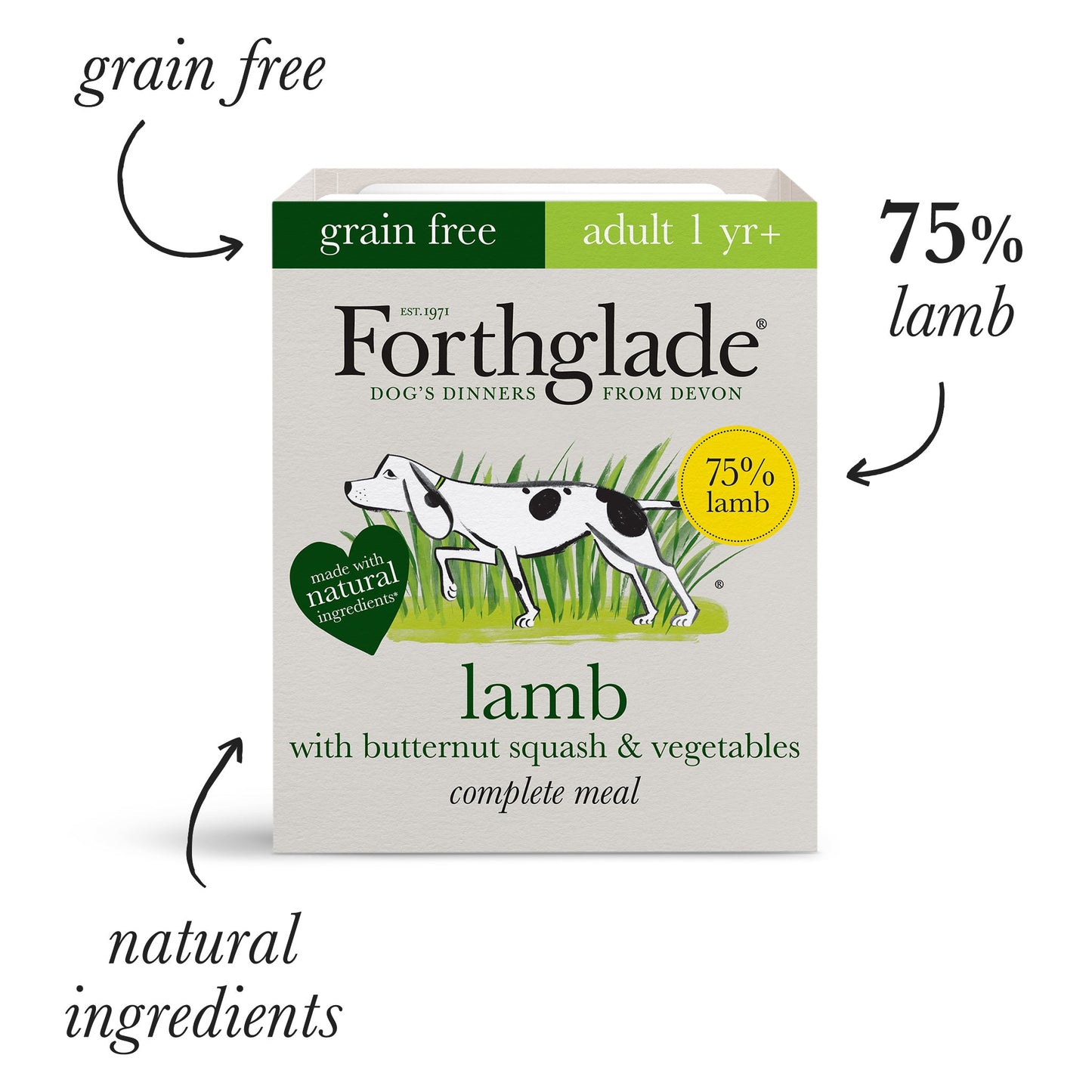 Lamb With Butternut Squash & Vegetables Natural Wet Dog Food