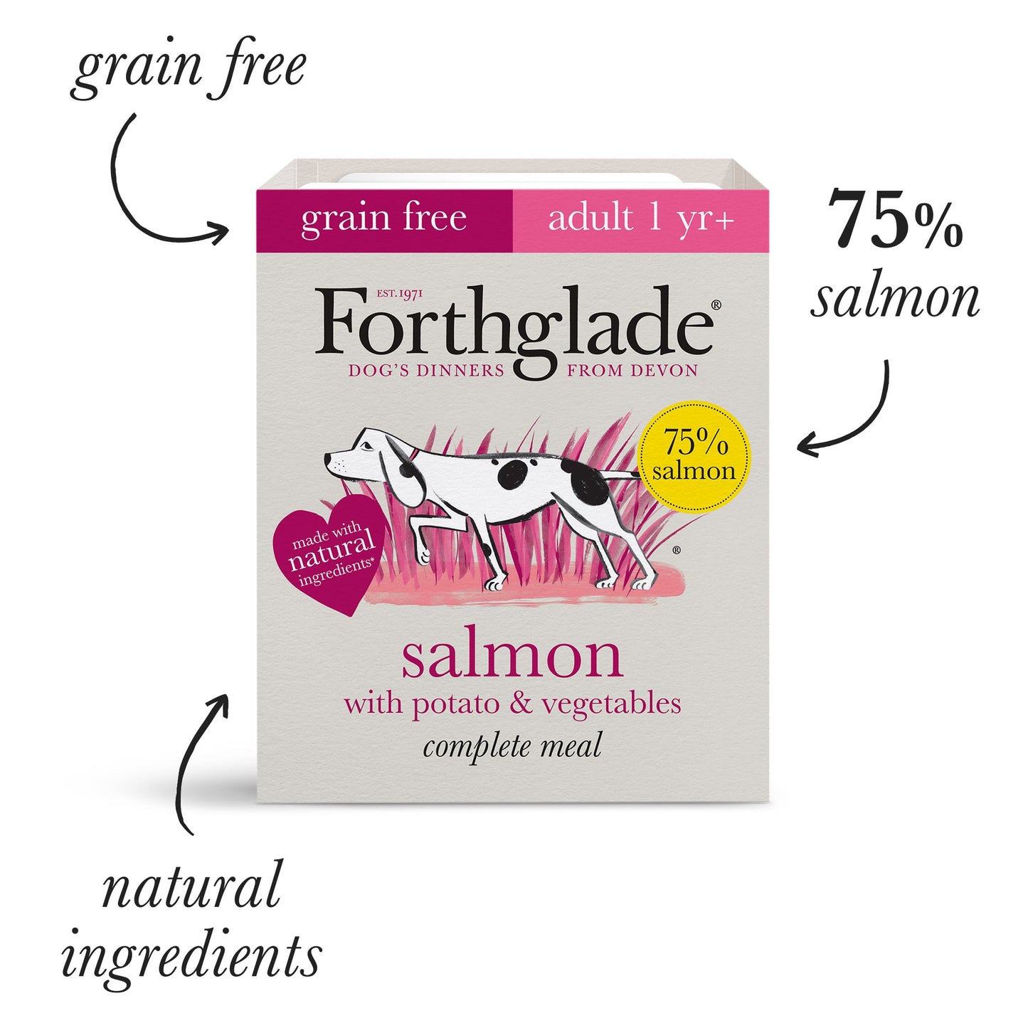 Everything Salmon Mega Flavour Variety Bundle