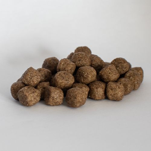 Skinners Field and Trial with Salmon and Rice Dog Food 15kg
