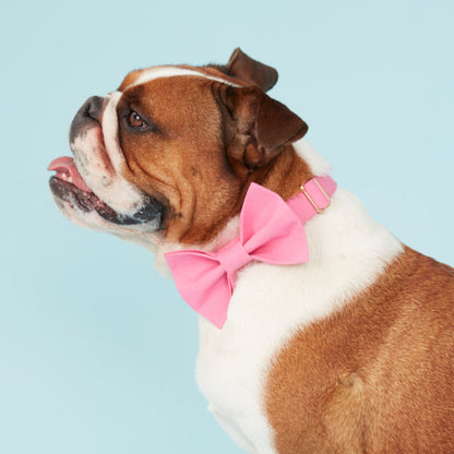 DOG BOW TIE - AZALEA PINK