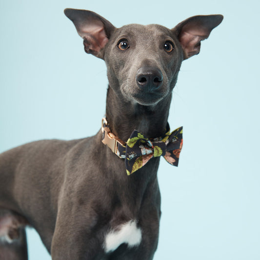 DOG BOW TIE - BLACK FLORAL PRINT