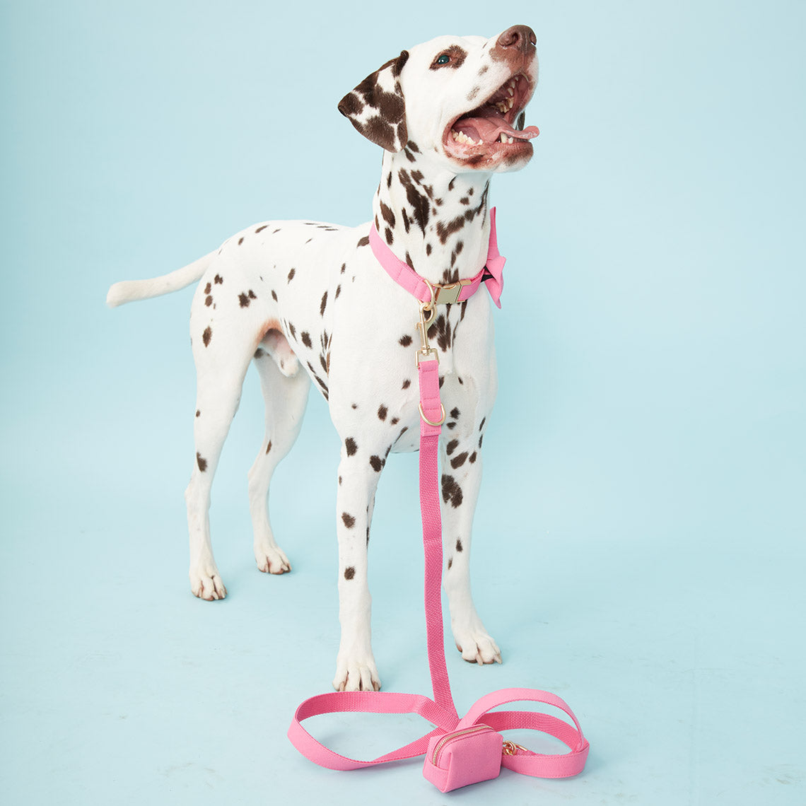 DOG LEAD - AZALEA PINK