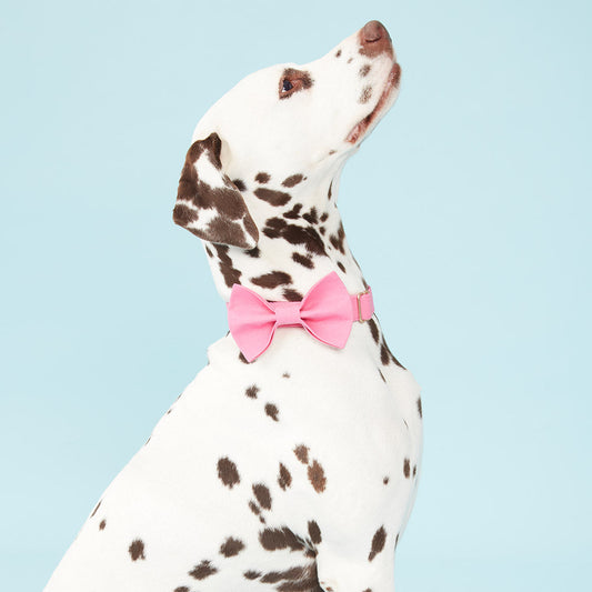 DOG BOW TIE - AZALEA PINK