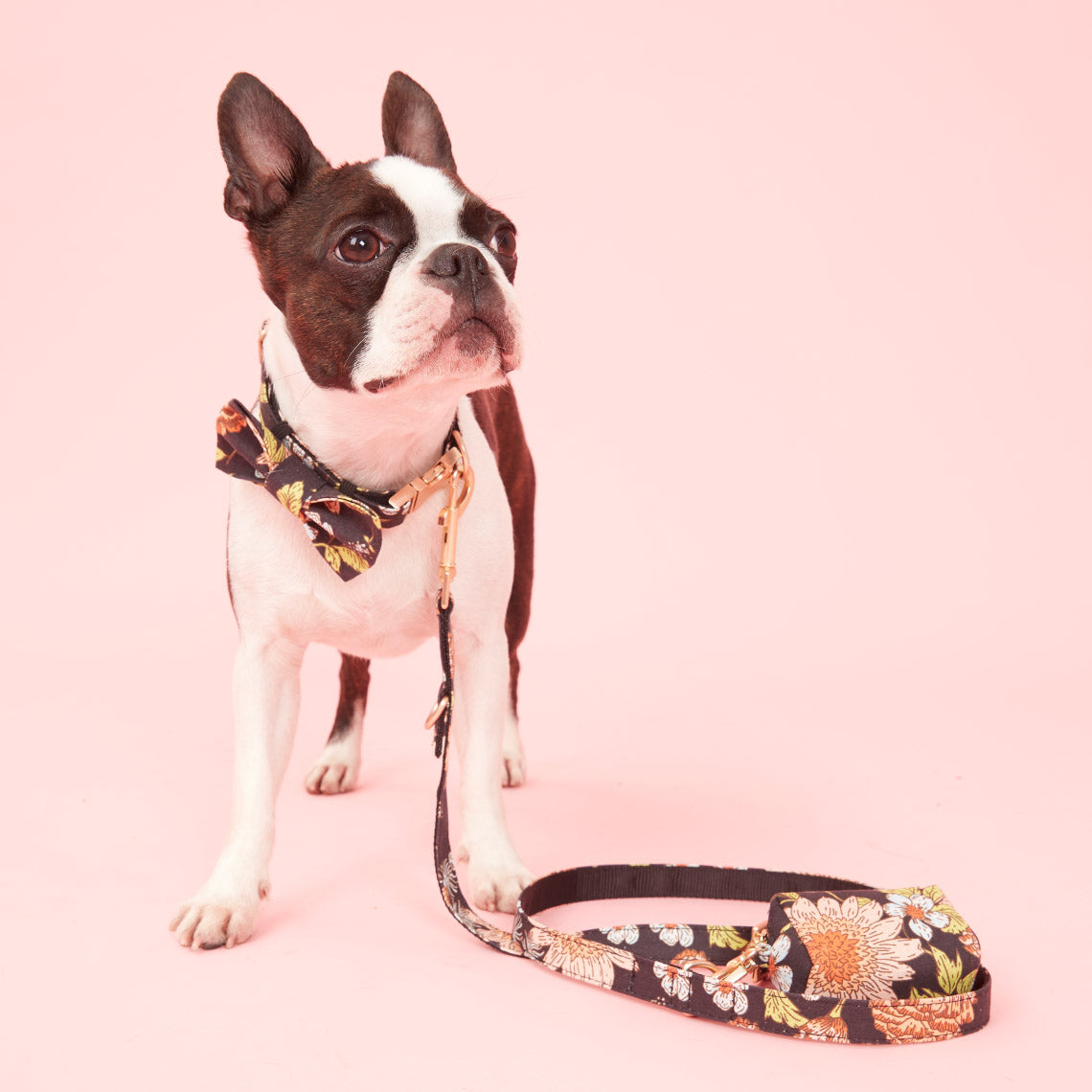 DOG LEAD - BLACK FLORAL