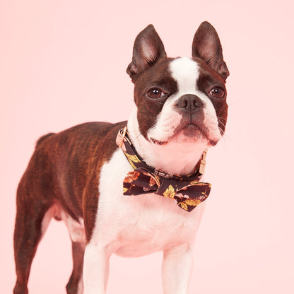 DOG BOW TIE - BLACK FLORAL PRINT