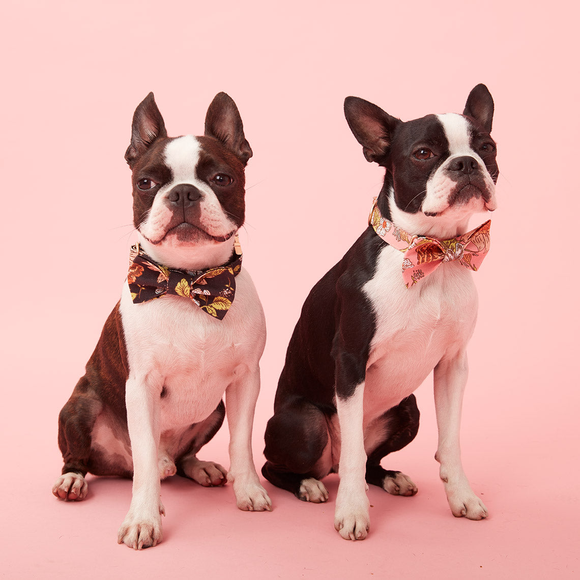 DOG BOW TIE - FLORAL PRINT PINK