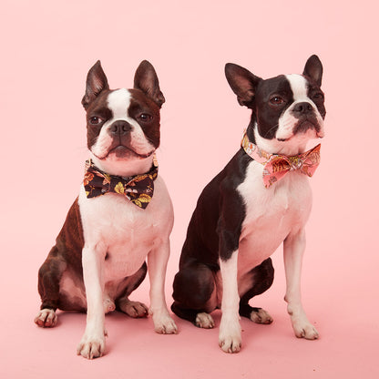 DOG BOW TIE - FLORAL PRINT PINK