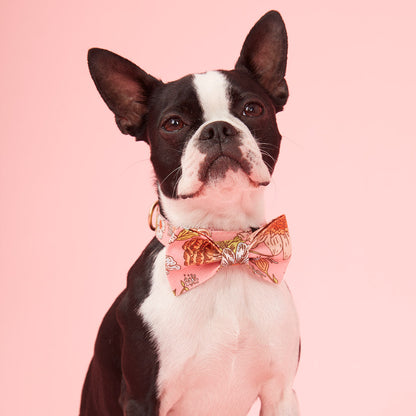 DOG BOW TIE - FLORAL PRINT PINK