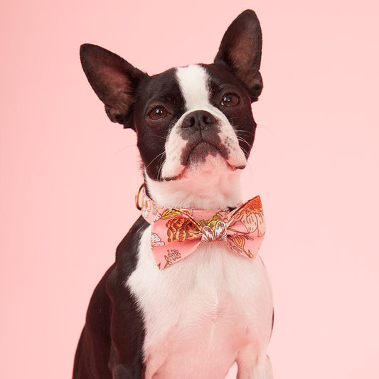 DOG BOW TIE - FLORAL PRINT PINK