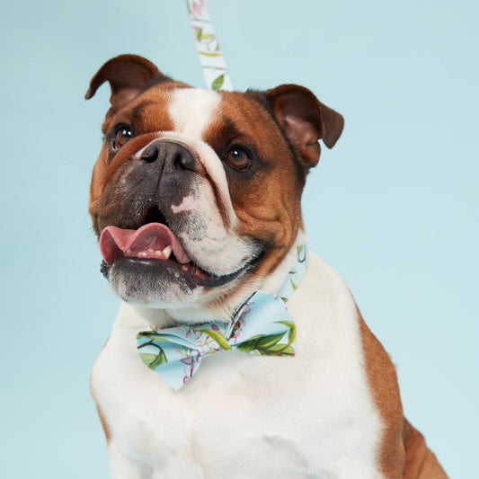 DOG BOW TIE - WATERCOLOUR FLORAL