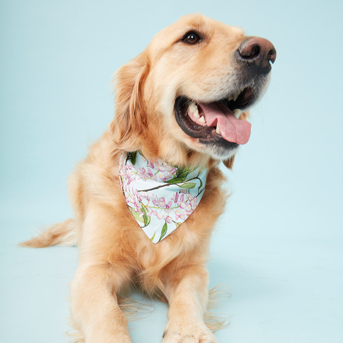 DOG BANDANA -  WATERCOLOUR FLORAL