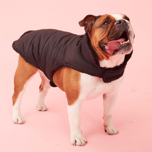 PUFFER JACKET - BLACK