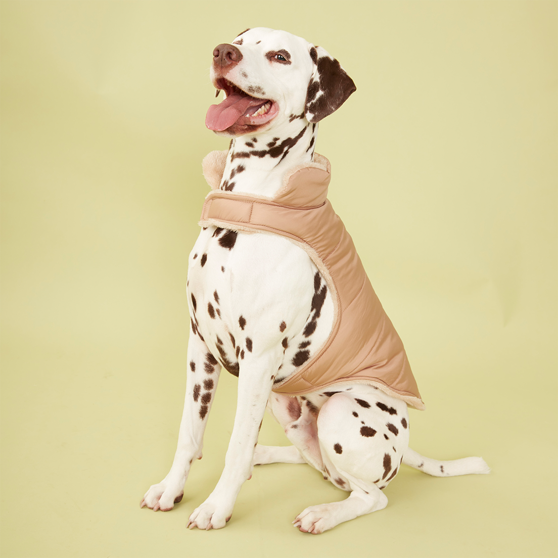 PUFFER JACKET - CAMEL