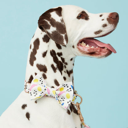 DOG BOW TIE - ABSTRACT