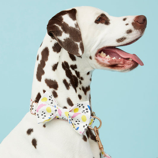 DOG BOW TIE - ABSTRACT
