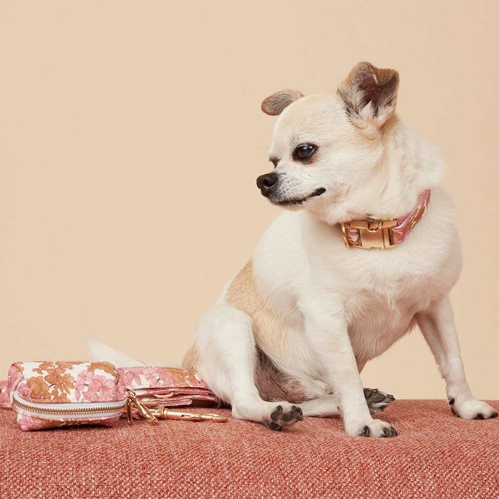 DOG COLLAR - PINK FLORAL