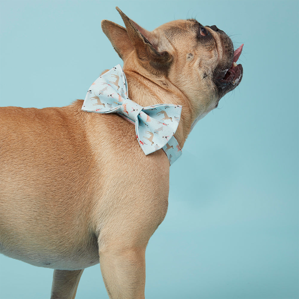 DOG BOW TIE - BLUE DOG