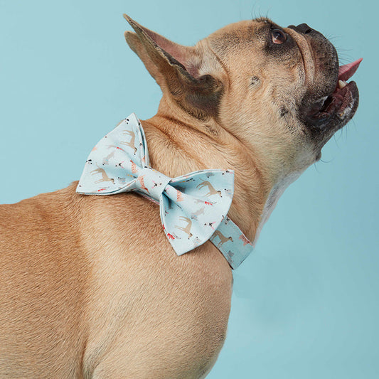 DOG BOW TIE - BLUE DOG