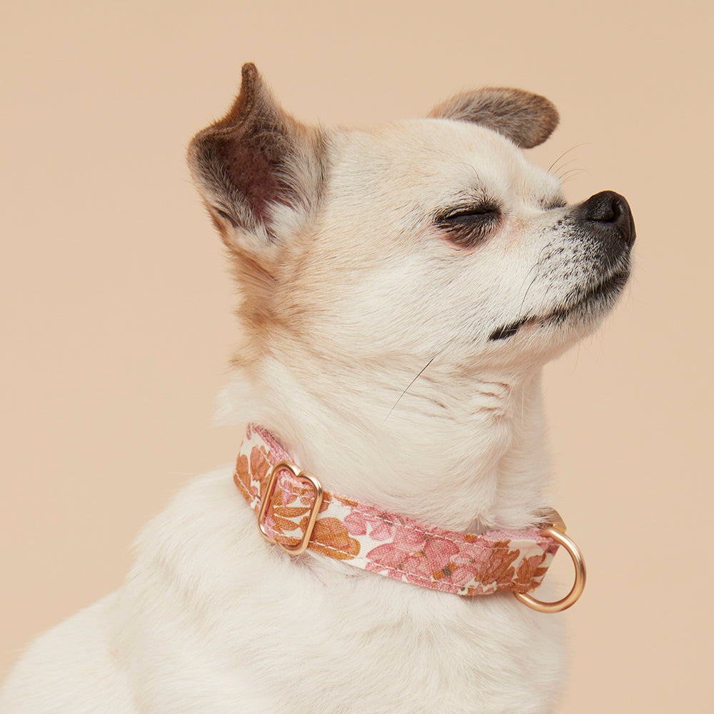 DOG COLLAR - PINK FLORAL