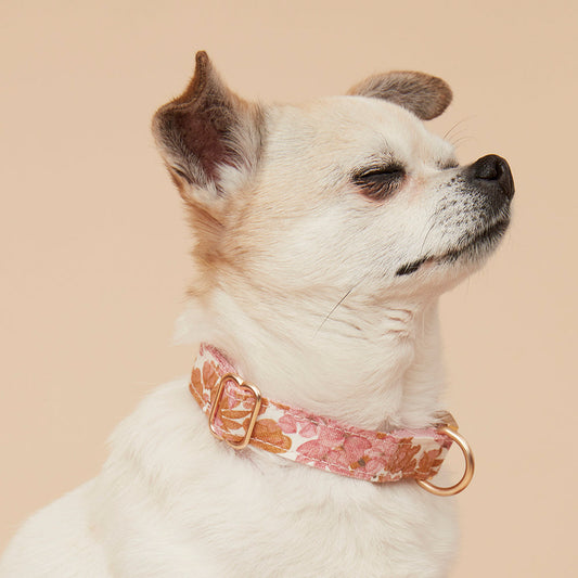 DOG COLLAR - PINK FLORAL