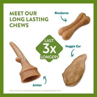 Whimzees Antler Dental Chew Dog Medium Treat Pack - 12pk