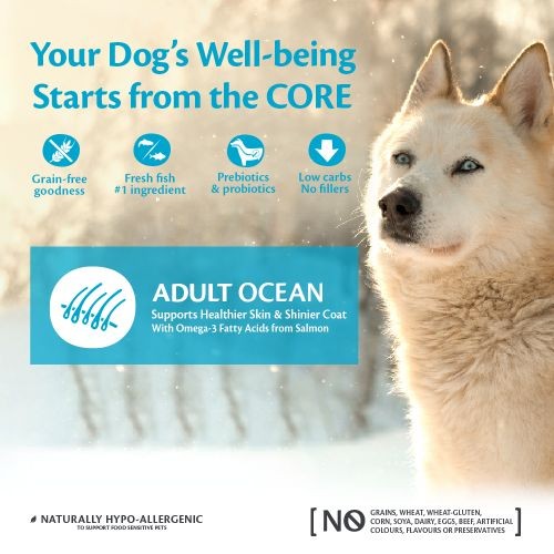 Wellness CORE Ocean Fish Salmon and Tuna Grain Free Adult Dry Dog Food 10kg